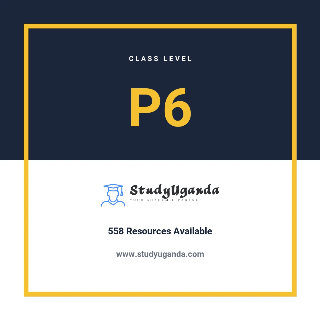 P6 Class Category Card