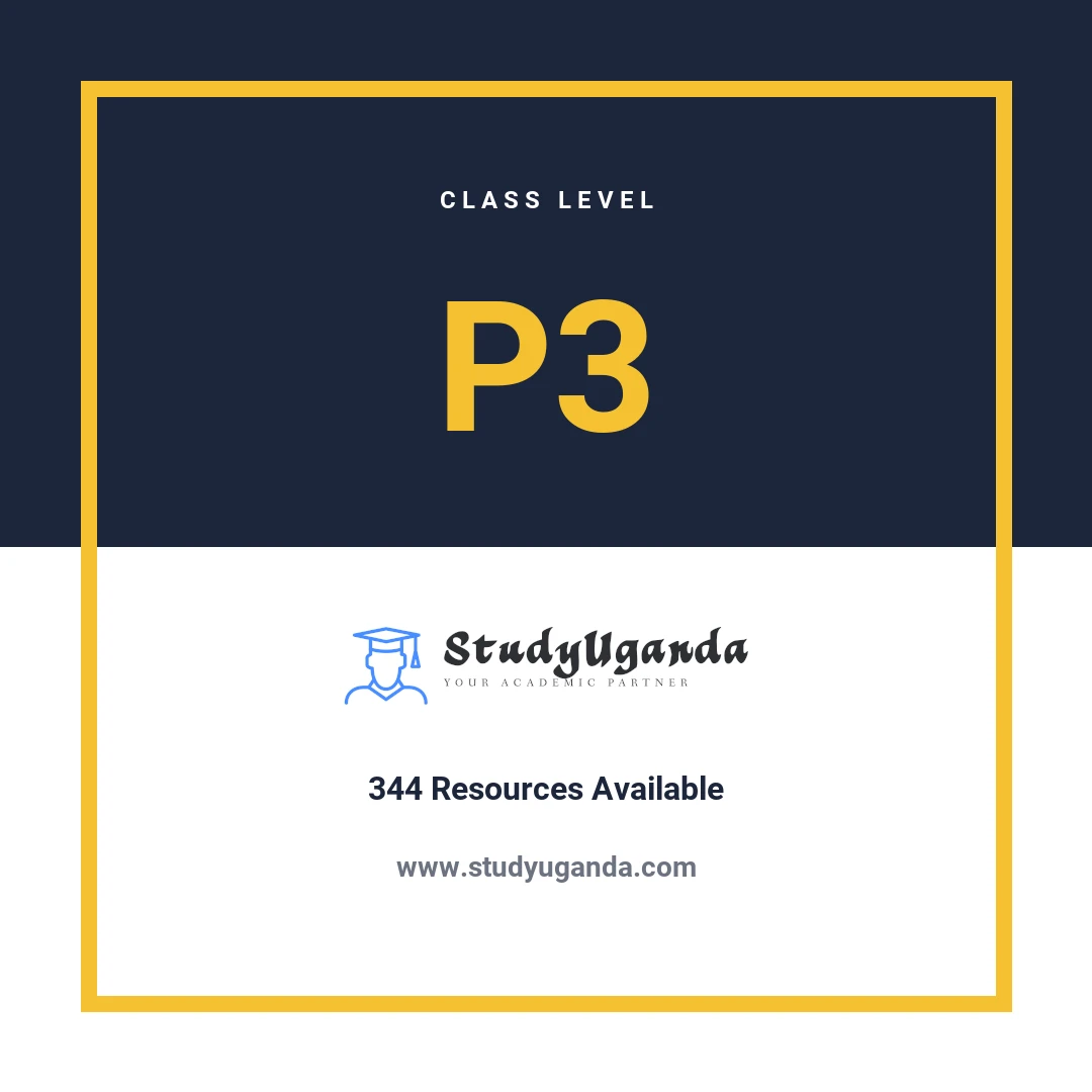 P3 Class Category Card